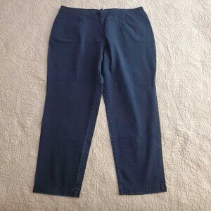 Pair of Size 3X Blue Leggings